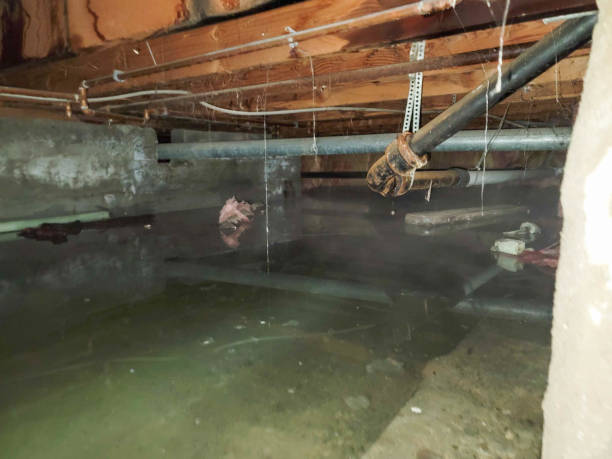 Best Residential water damage restoration  in Salunga, PA