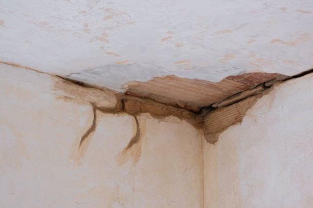 Best 24-hour water damage restoration  in Salunga, PA