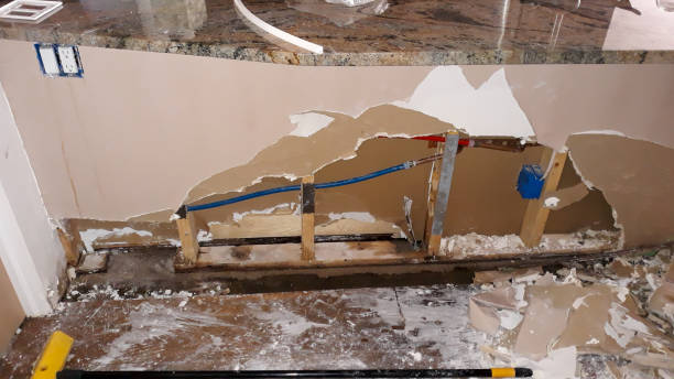 Best Professional water damage repair  in Salunga, PA