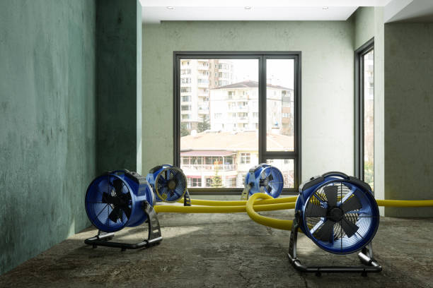 Best Water damage cleanup near me  in Salunga, PA
